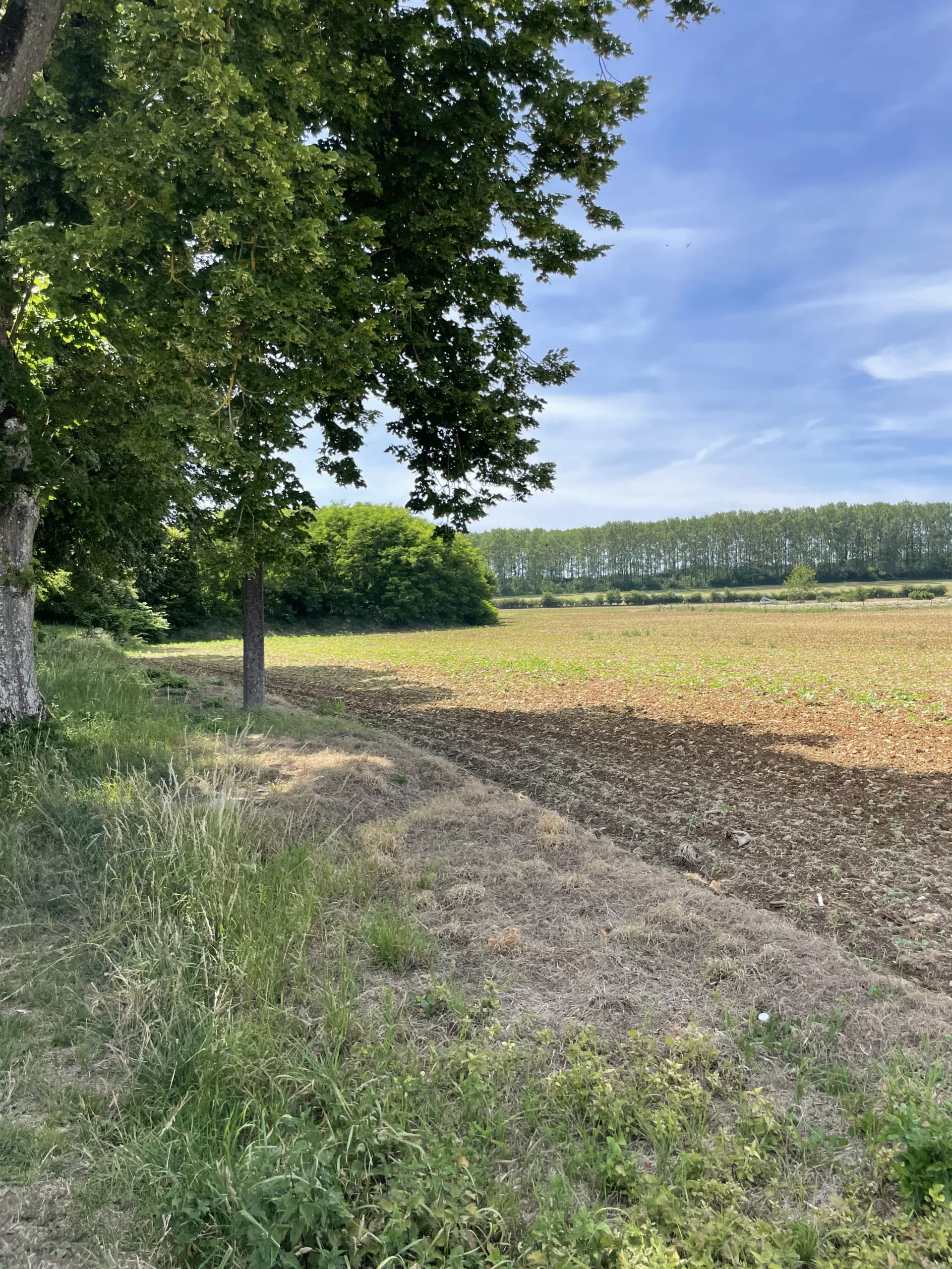 fb amenagement mont bonvillers